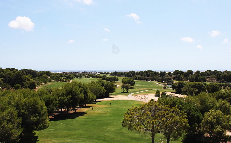 3 Bedroom 2 Bathroom ground-floor in Pinar de Campoverde