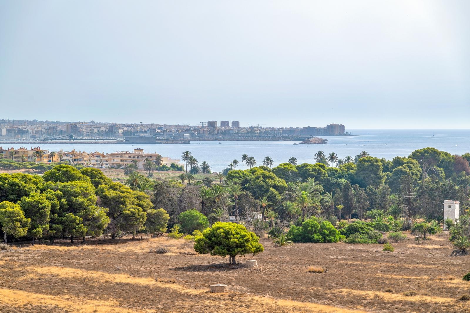 For sale - 2 Bedroom 2 Bathroom Penthouse in Torrevieja - Punta Prima  - Alicante